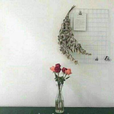 上古诸神百度版下载